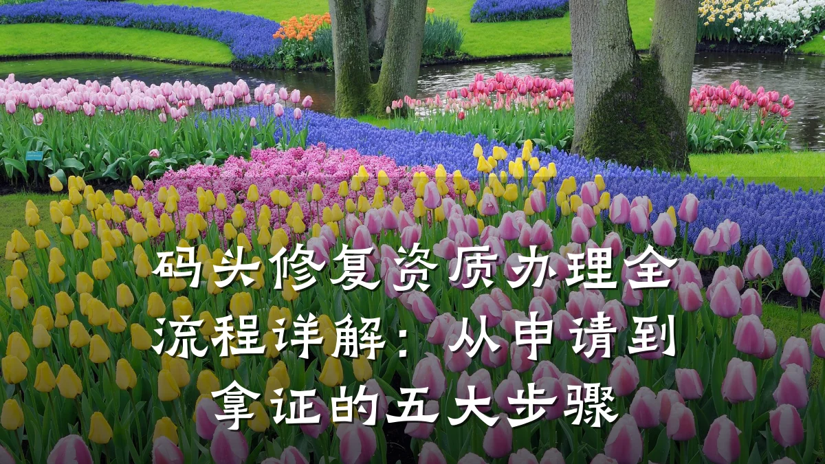 码头修复资质办理全流程详解:从申请到拿证的五大步骤