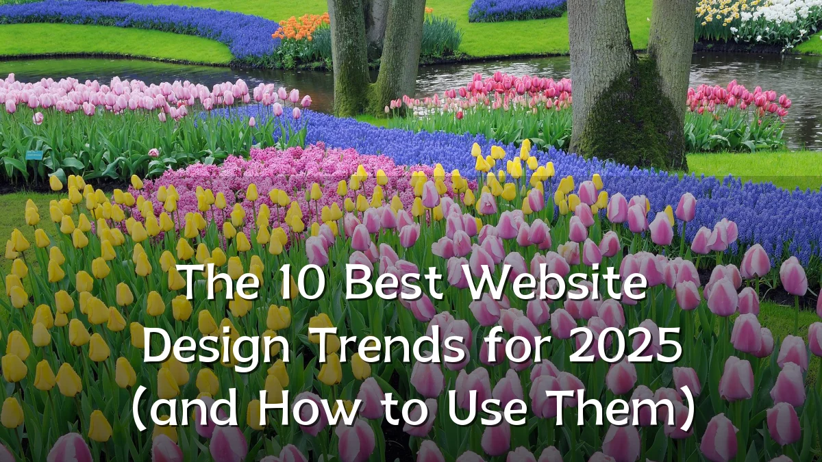 The 10 Best Website Design Trends for 2025 (and How to Use Them)