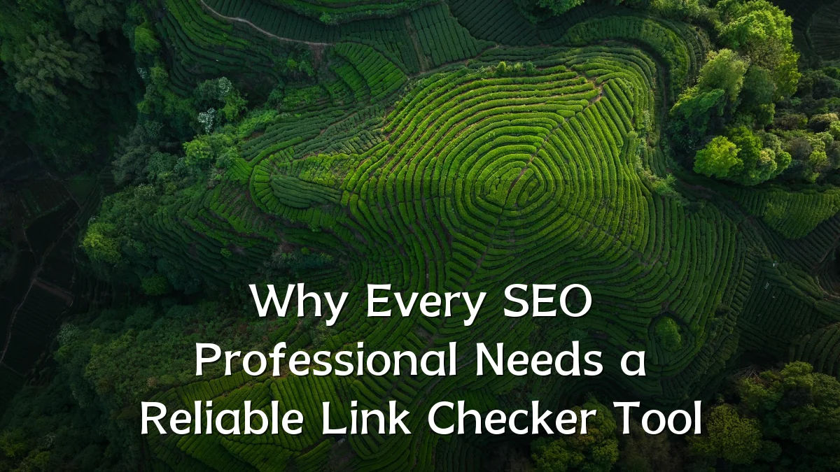 Why Every SEO Professional Needs a Reliable Link Checker Tool