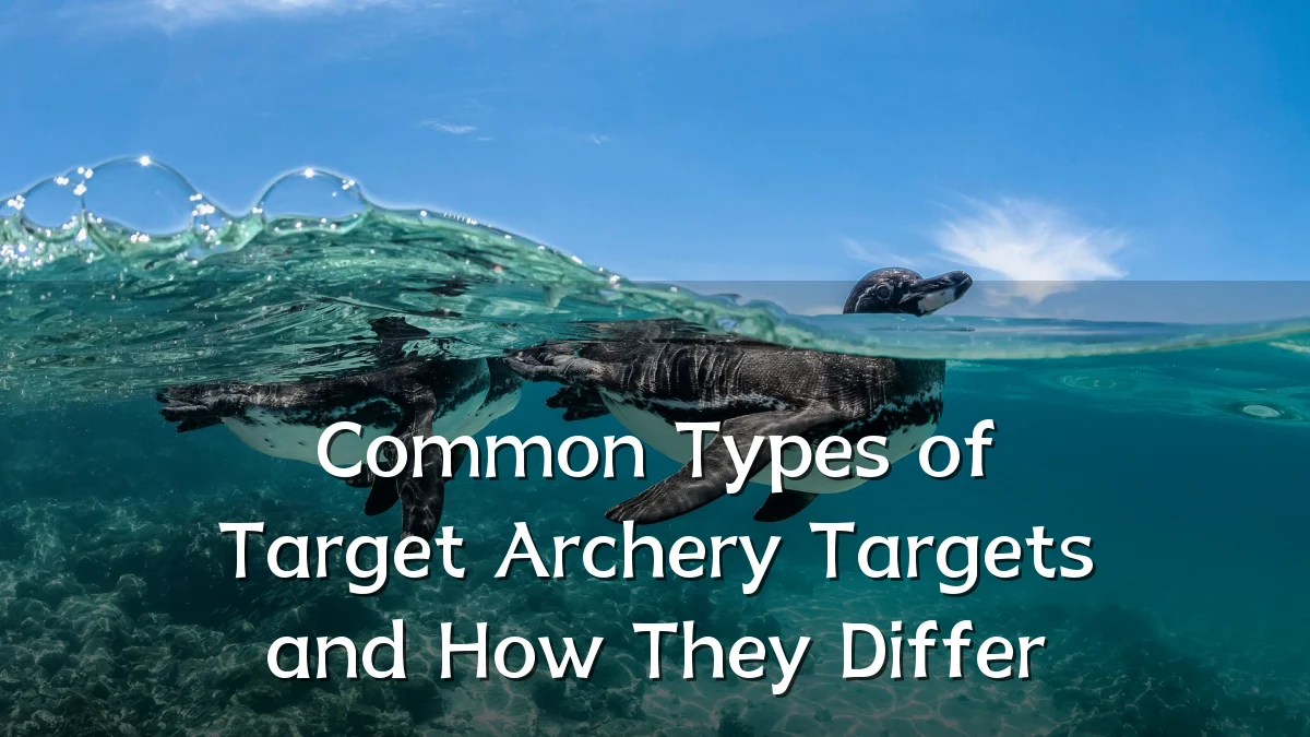 Common Types of Target Archery Targets and How They Differ
