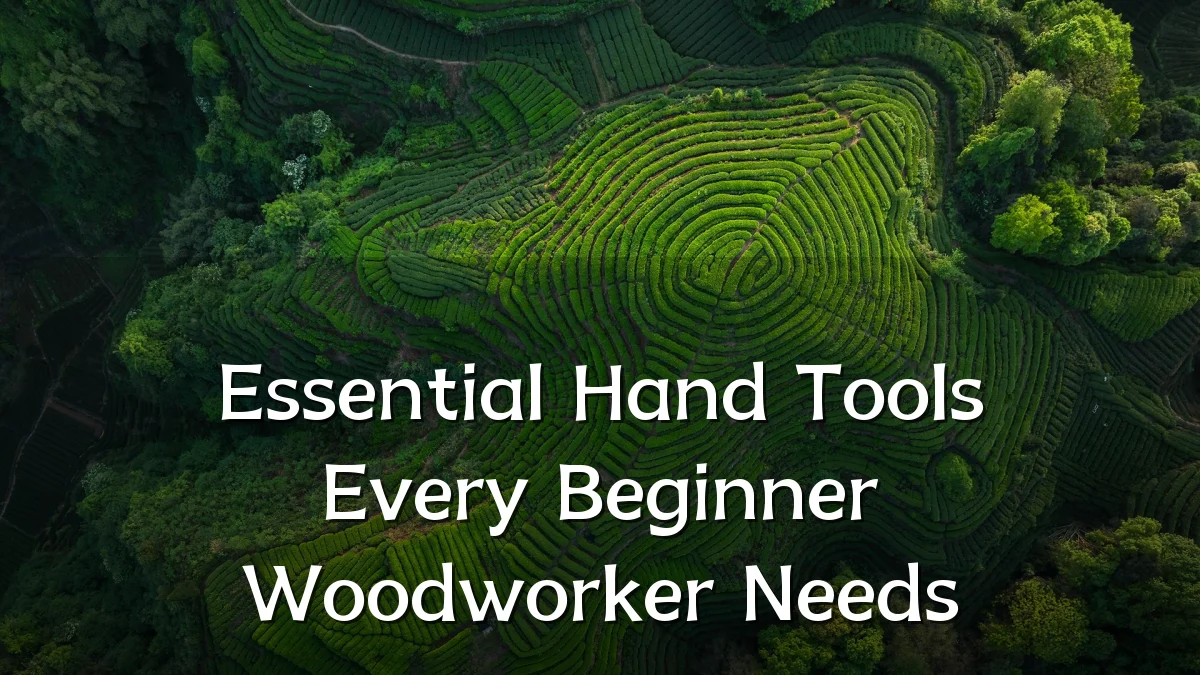 Essential Hand Tools Every Beginner Woodworker Needs