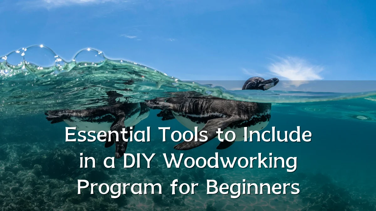 Essential Tools to Include in a DIY Woodworking Program for Beginners