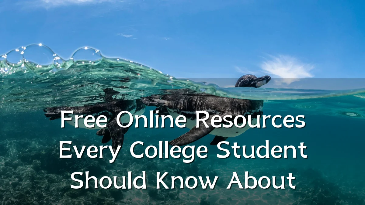 Free Online Resources Every College Student Should Know About