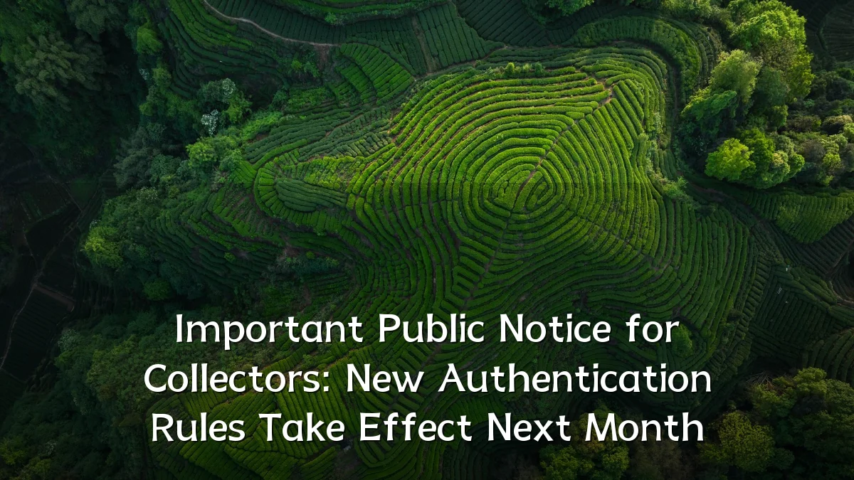 Important Public Notice for Collectors: New Authentication Rules Take Effect Next Month