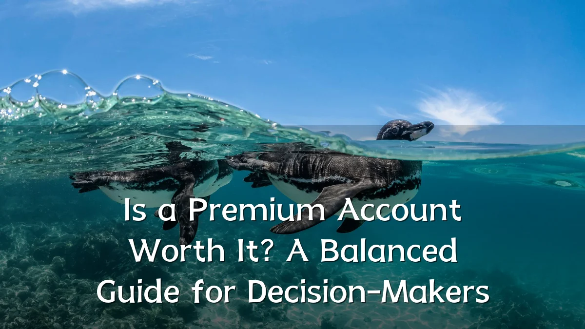 Is a Premium Account Worth It? A Balanced Guide for Decision-Makers