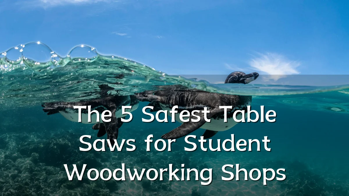The 5 Safest Table Saws for Student Woodworking Shops