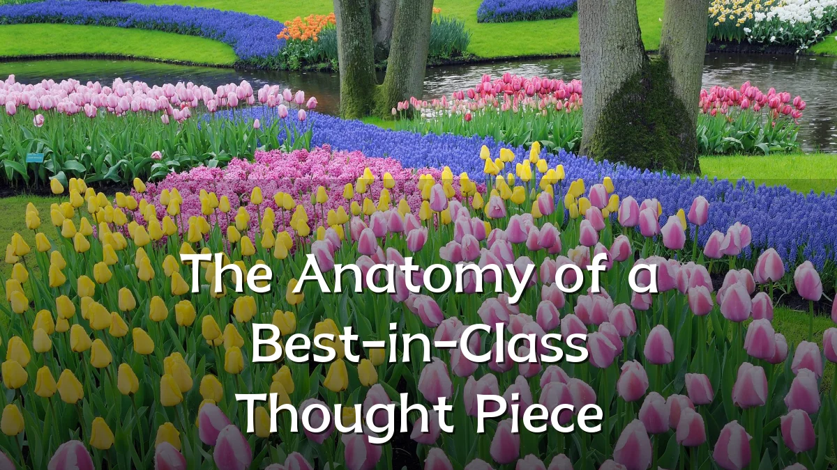 The Anatomy of a Best-in-Class Thought Piece