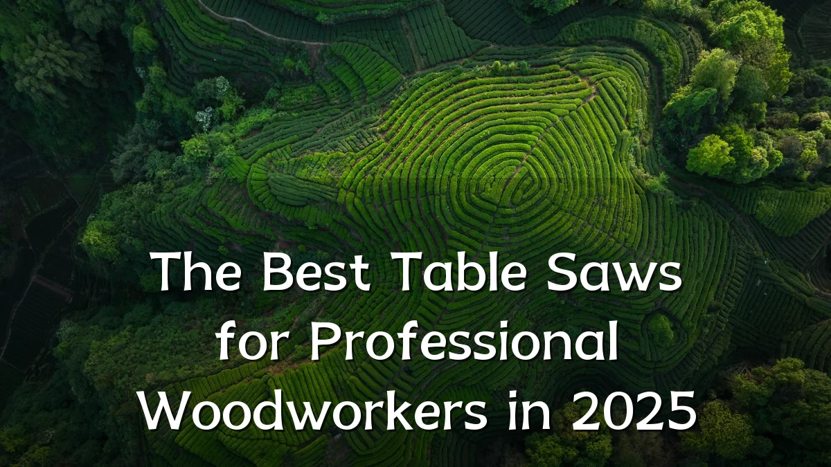 The Best Table Saws for Professional Woodworkers in 2025