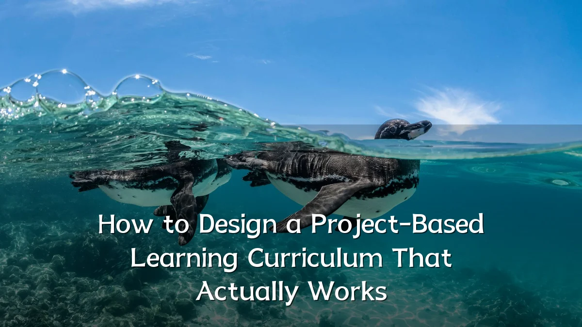 How to Design a Project-Based Learning Curriculum That Actually Works