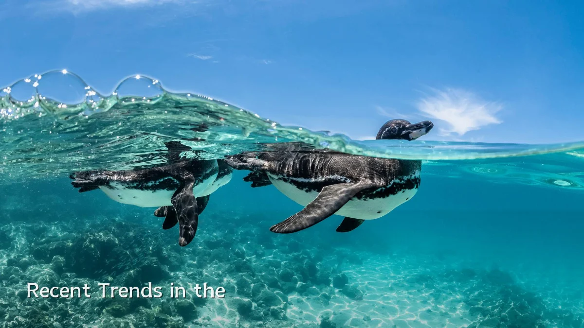 Recent Trends in the