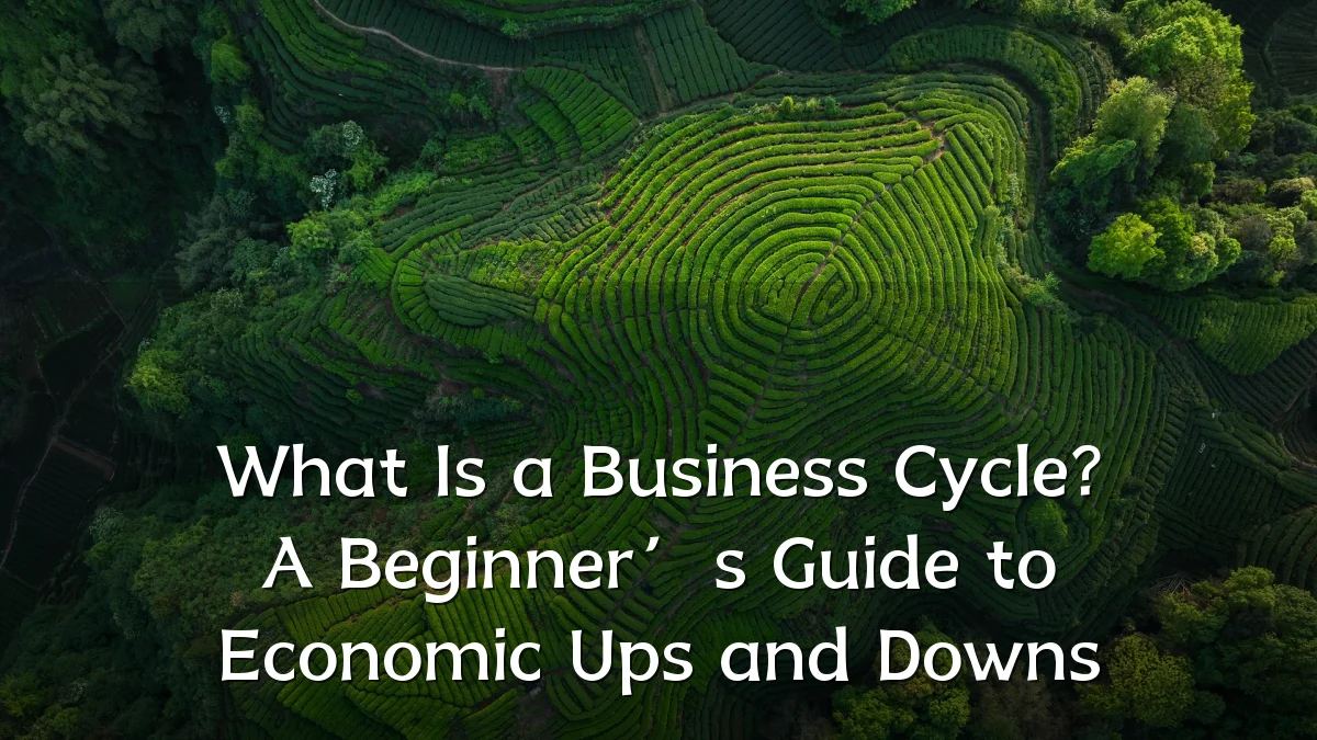 What Is a Business Cycle? A Beginner’s Guide to Economic Ups and Downs