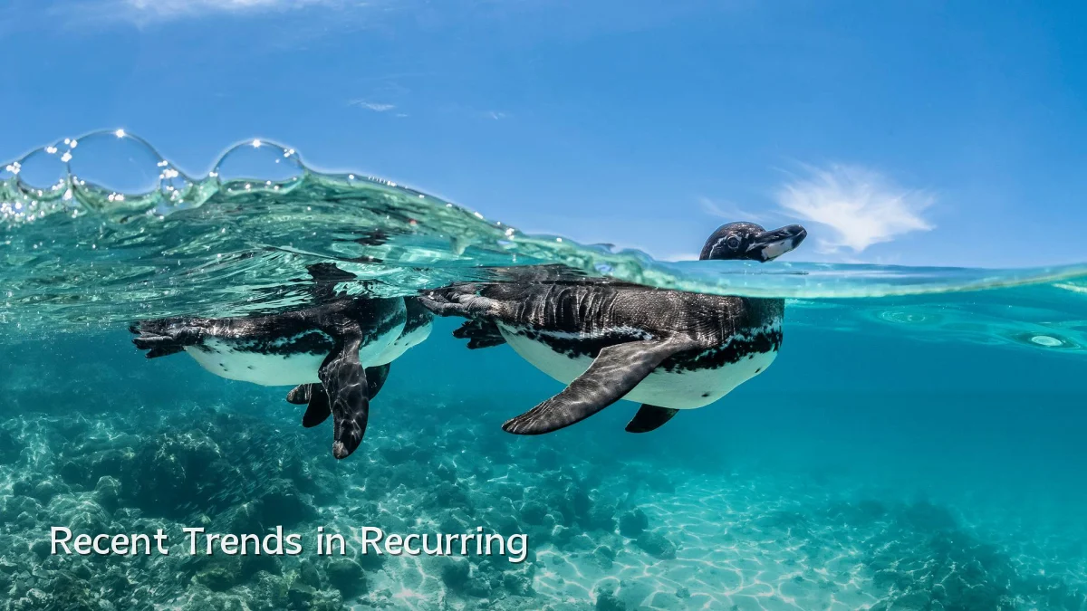 Recent Trends in Recurring
