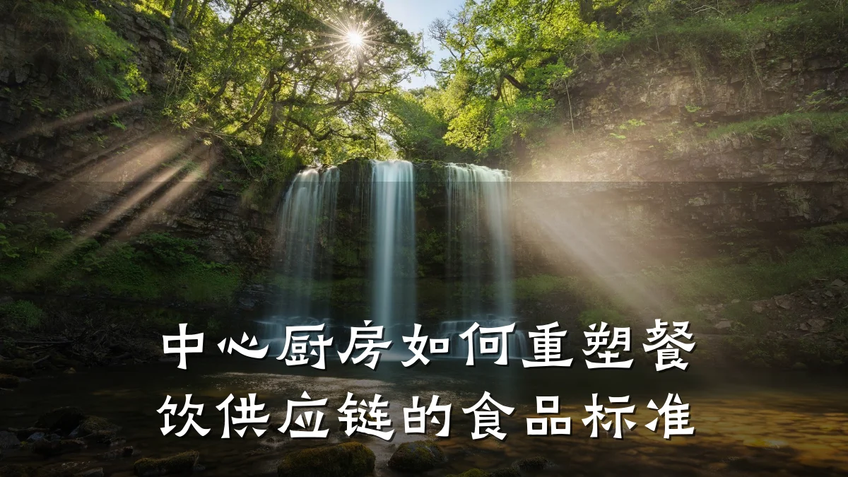 中心厨房如何重塑餐饮供应链的食品标准
