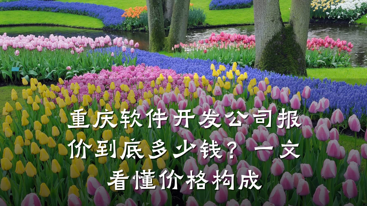 重庆软件开发公司报价到底多少钱？一文看懂价格构成