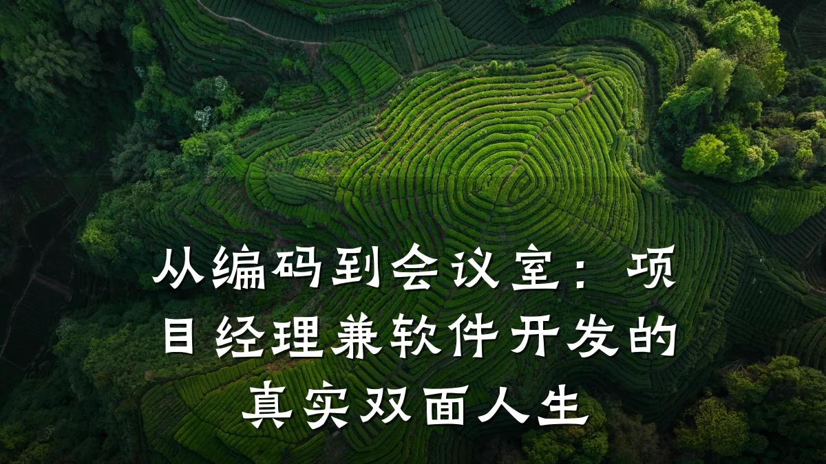 从编码到会议室：项目经理兼软件开发的真实双面人生