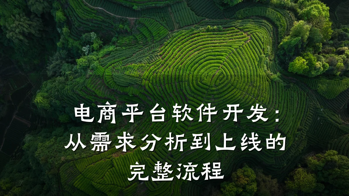 电商平台软件开发：从需求分析到上线的完整流程