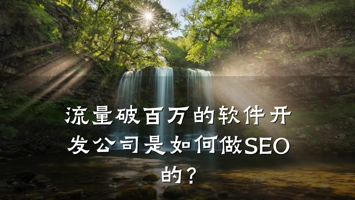 流量破百万的软件开发公司是如何做SEO的？
