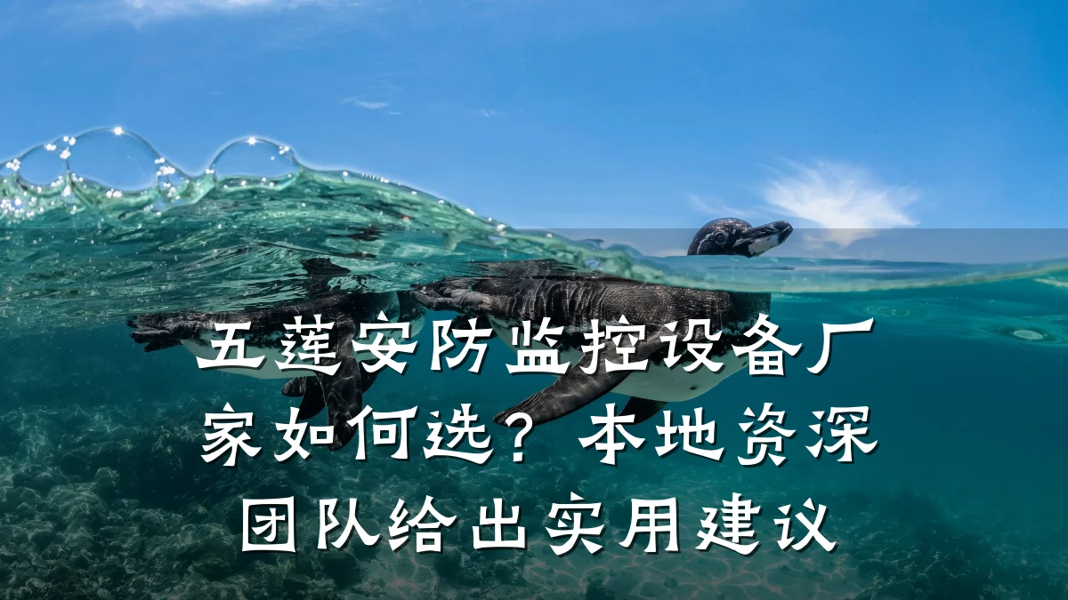 五莲安防监控设备厂家如何选？本地资深团队给出实用建议