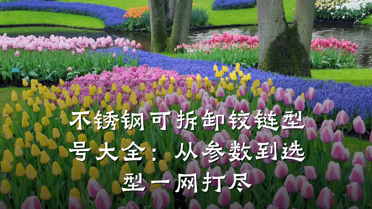 不锈钢可拆卸铰链型号大全：从参数到选型一网打尽