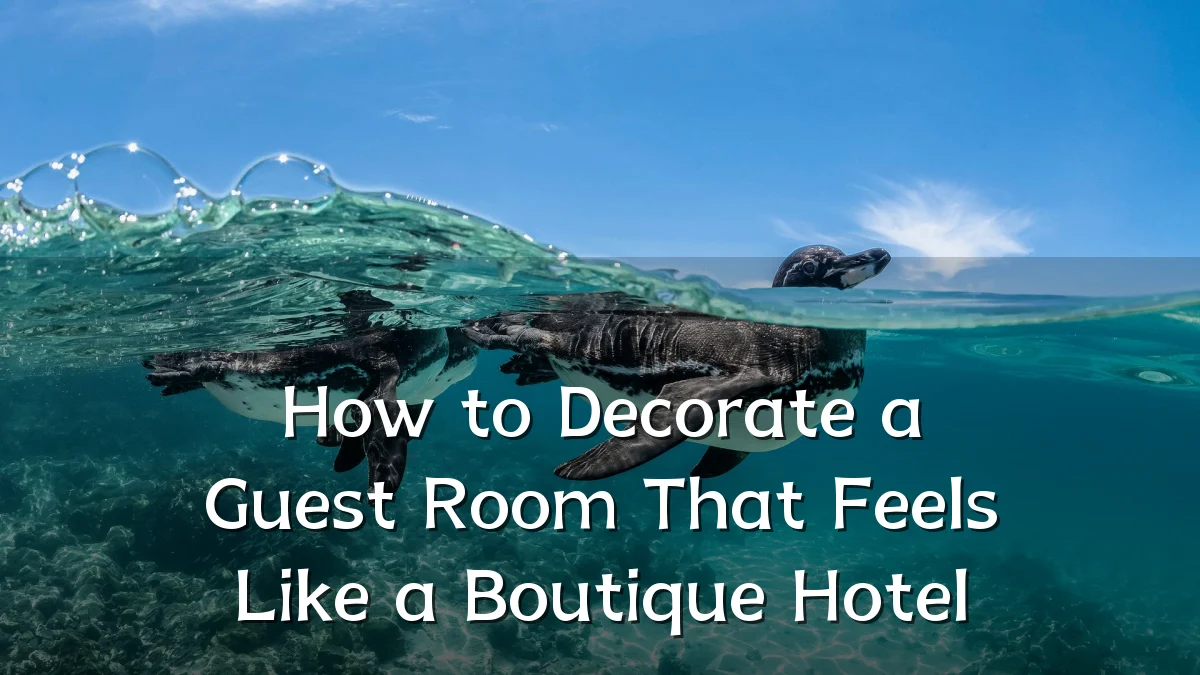 How to Decorate a Guest Room That Feels Like a Boutique Hotel