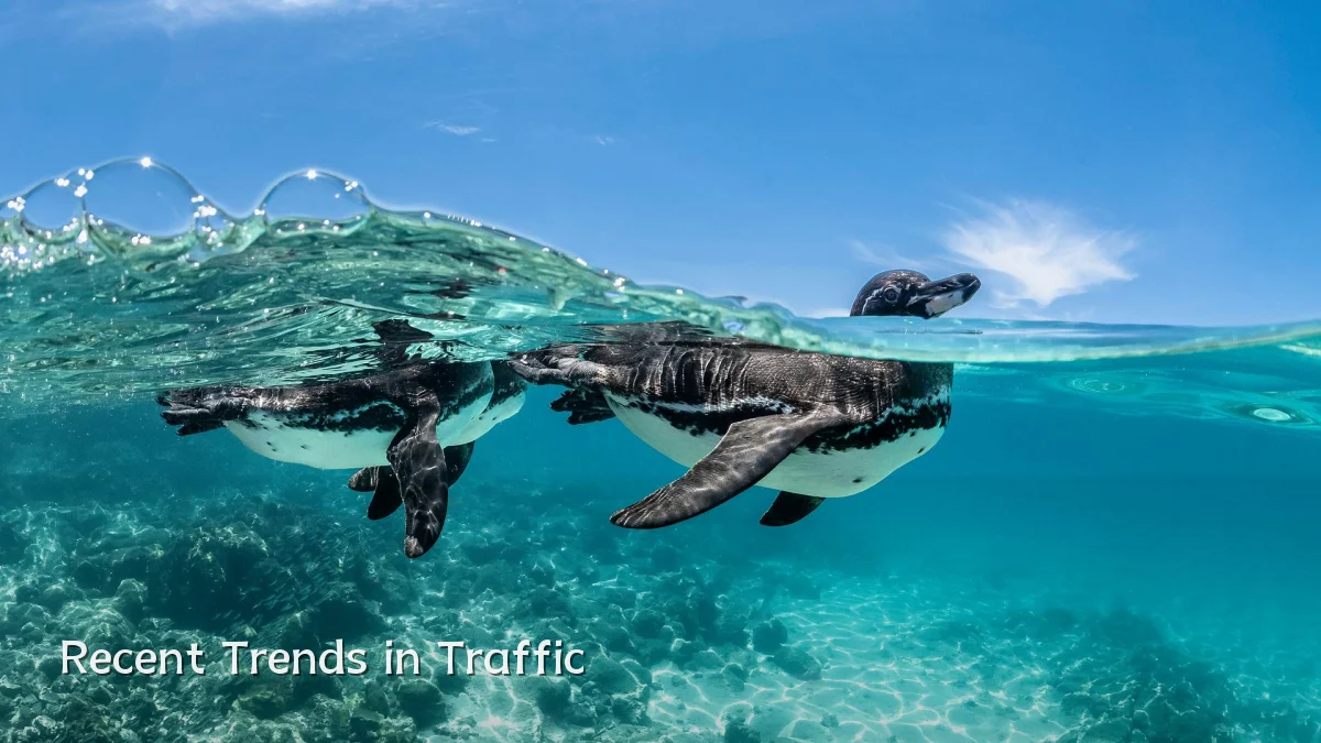 Recent Trends in Traffic