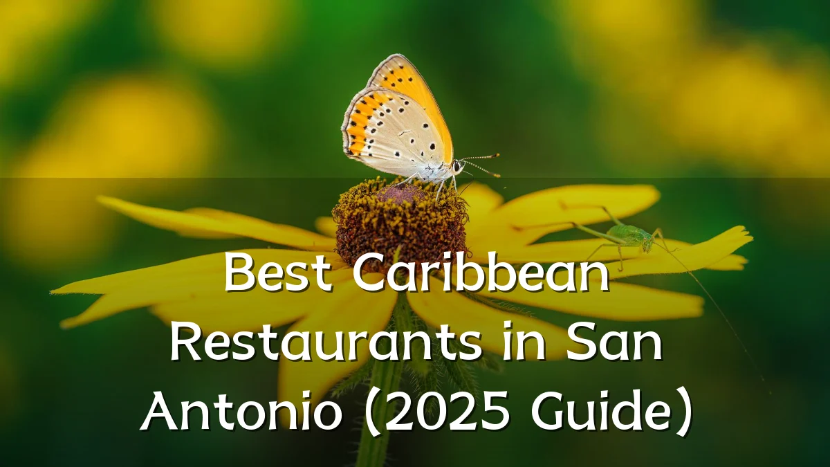 Best Caribbean Restaurants in San Antonio (2025 Guide)